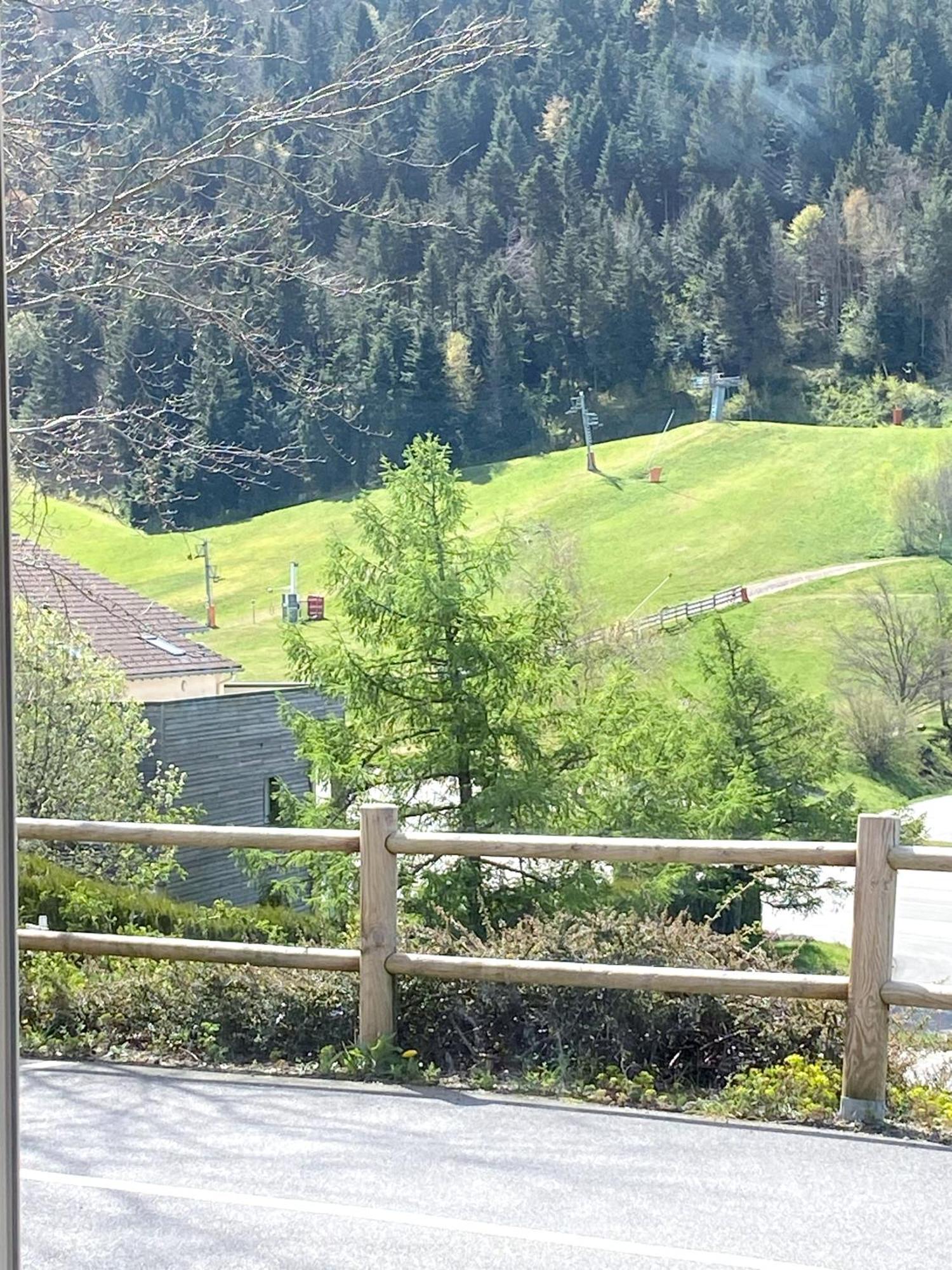 ジェラールメAux Pieds Des Pistes 4/6 Personnesアパートメント エクステリア 写真